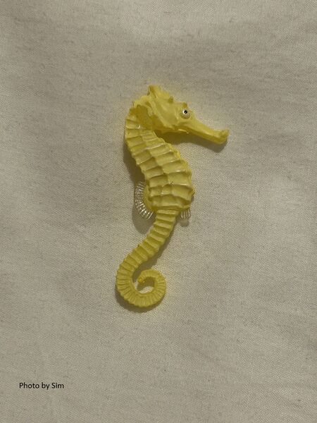 File:Kitan club seahorse.jpg