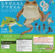 Nature Technicolor Toad (Tadpoles) & Tree Frog