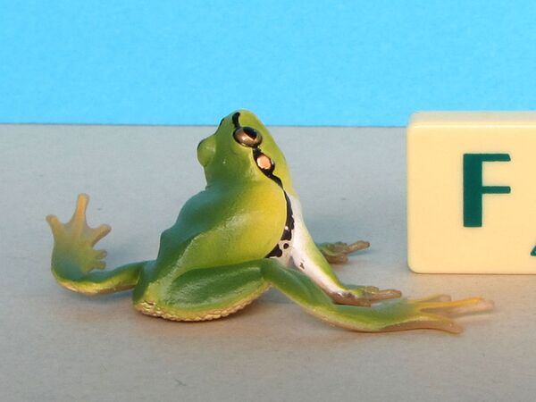 Kitan naturetechnicolor frogs2 japanesetreefrog sitting.JPG
