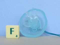 Nature Technicolor Moon Jellyfish