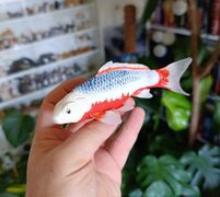 Mojo 381100 Koi Carp - Asagi