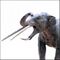 Konobelodon.jpg