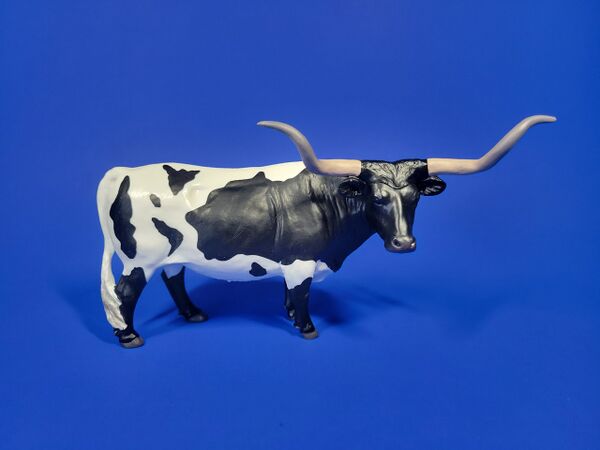 LBT-longhorn-pg.jpg