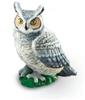 Great Horned Owl