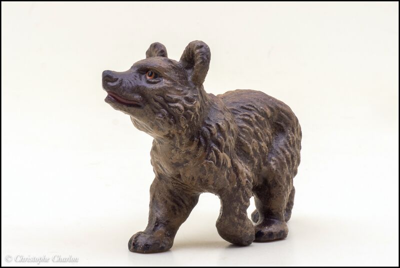 File:Lineol 517-1 Young Brown bear 3.jpg