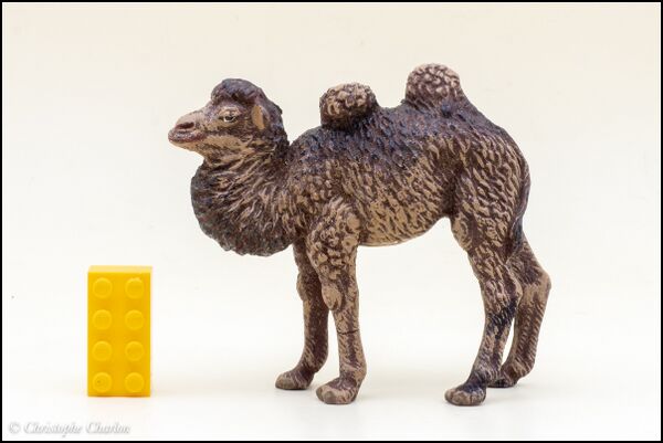 Lineol 523-2 Young Bactrian camel 1.jpg