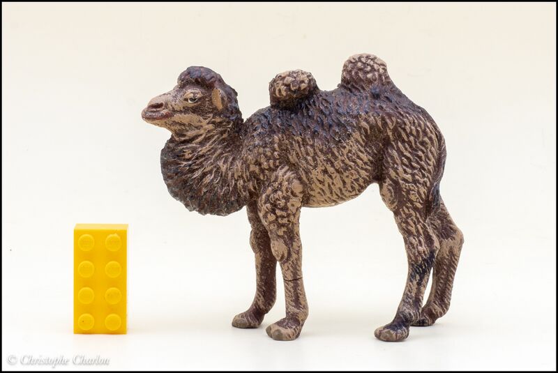 File:Lineol 523-2 Young Bactrian camel 1.jpg