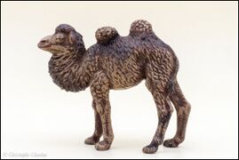 Lineol 523/2 Young Bactrian camel