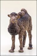 Lineol 523-2 Young Bactrian camel 3.jpg
