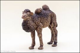 Lineol 523-2 Young Bactrian camel 5.jpg
