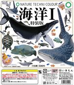 Ocean I Special edition (6 models 2024)