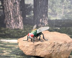 Kaiyodo cQM Common Greenbottle Fly Lucilia caesar