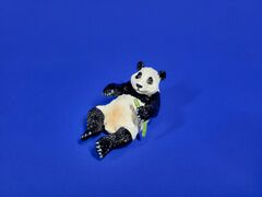 lying down Giant panda cub
