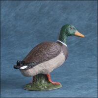 Mallard colvert PAPO-3.jpg