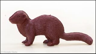 Marx Otter
