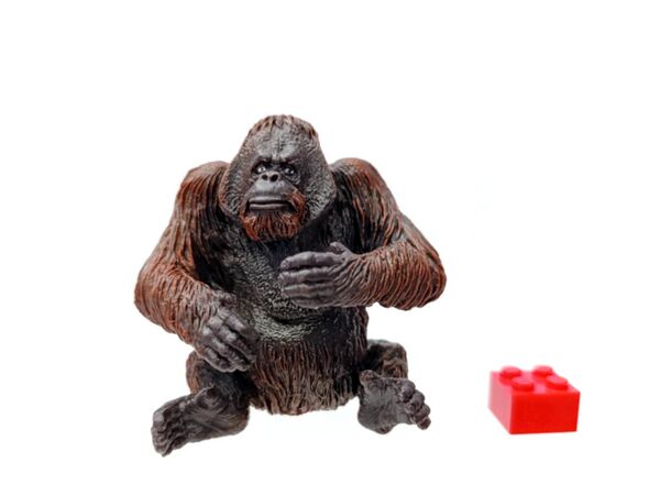 Mojo 381028 Orangutan 1.jpg