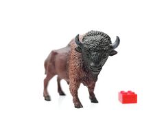 Mojo 381076 American Bison 2.jpg