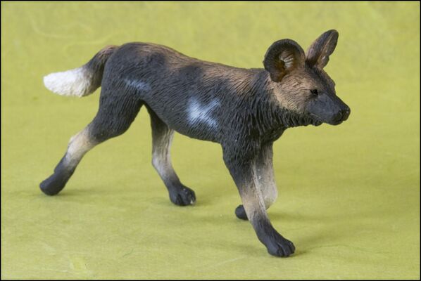 Picture from Kikimalou's collection