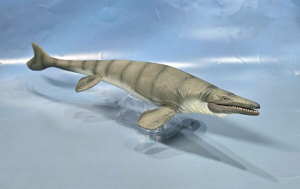 Mosasaurus hoffmannii CollectA-scaled.jpg