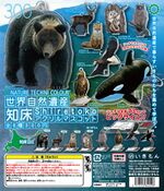 Shiretoko Acrylic Mascot