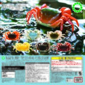 Freshwater Crabs (6 models)