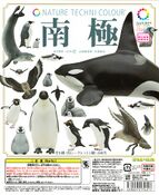 Nankyoku (8 models, August 2014)