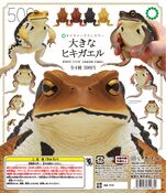 Nature Technicolor Bufo japonicus