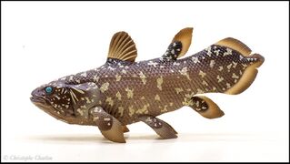 Nature Technicolor Indonesian Coelacanth