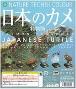 Japanese Turtles Special Edition(6 models, 2024)