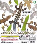 Nature Technicolor Lizards