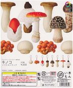 Nature Technicolor Mushrooms 1 on Straps