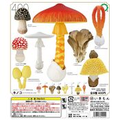 Nature Technicolor Mushrooms 2 on Straps