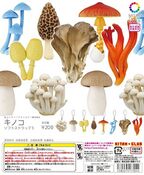 Nature Technicolor Mushrooms 3 on Straps