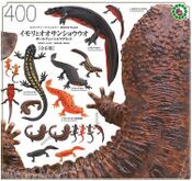 Nature Technicolor Newts and Salamanders