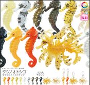 Nature Technicolor Seahorses Collection