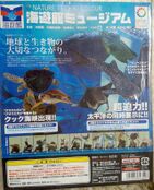 Osaka Aquarium KAIYUKAN (first version: 8 models without base, 2008; second version 12 models with base, September 2009)