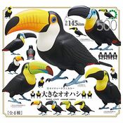 Toucans (4 models, 2025)