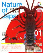 Nature of Japan 01 (10 models, May 2013)