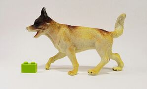 Nayab 233 Australian Cattle Dog