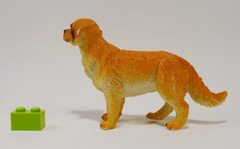 File:Nayab-233-7-Golden-Retriever-ZW2.jpg