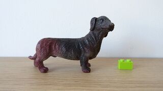 Nayab 233 Dachshund