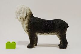 Nayab 233 Old English Sheepdog