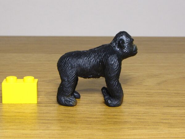 Nayab 560 Gorilla 1.JPG