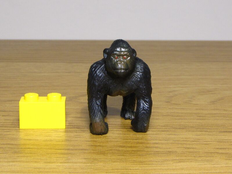 File:Nayab 560 Gorilla 2.JPG