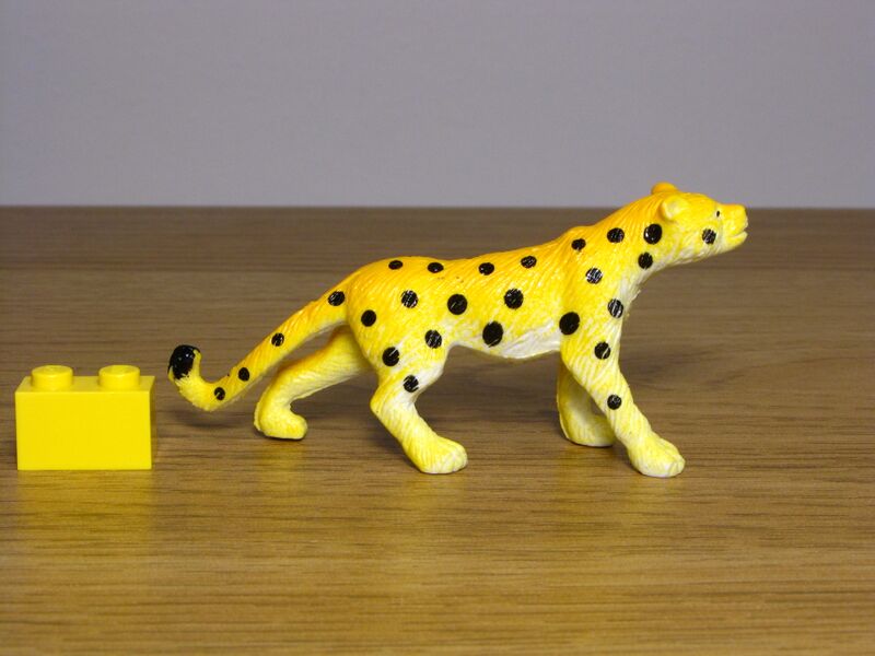 File:Nayab 560 Leopard 1.JPG