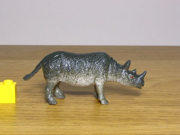 Nayab 560 Rhinoceros 1.JPG