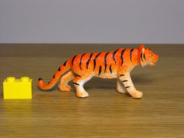 Nayab 560 Tiger 1.JPG