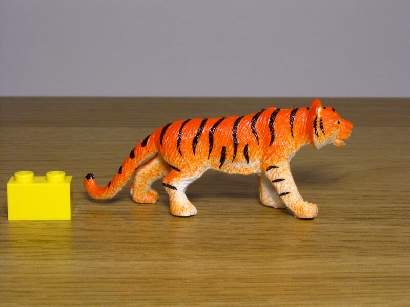 File:Nayab 560 Tiger 1.JPG