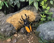 SEGA Standard Series Neolucanus delicatus