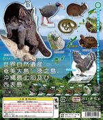 Northern Okinawa Island and Iriomote Island